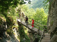 горы Болгарии-пеший туризм в Болгарии-горный туризм в Болгарии